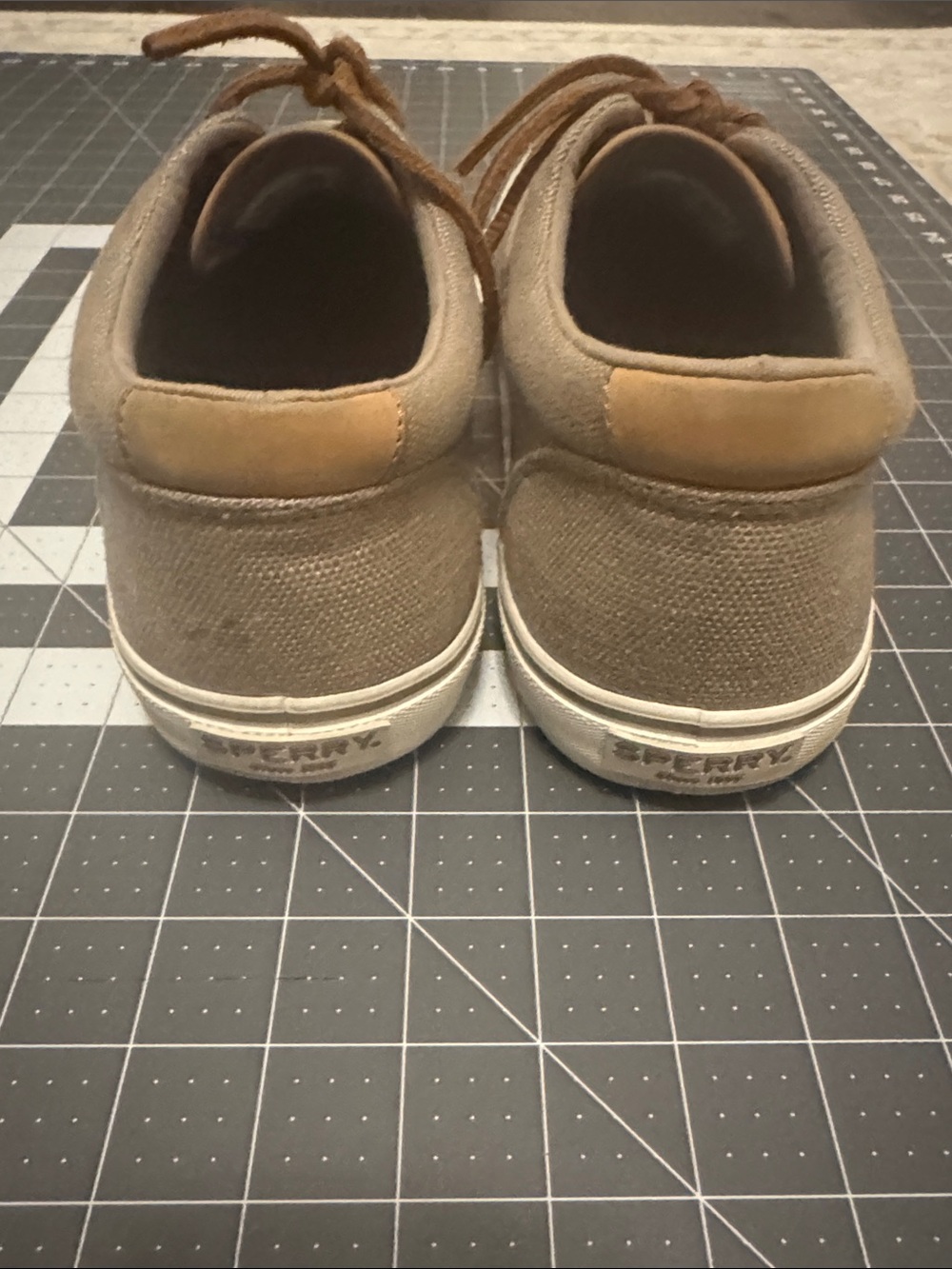 Sperry Low-Top Canvas Sneakers in Brown and Tan